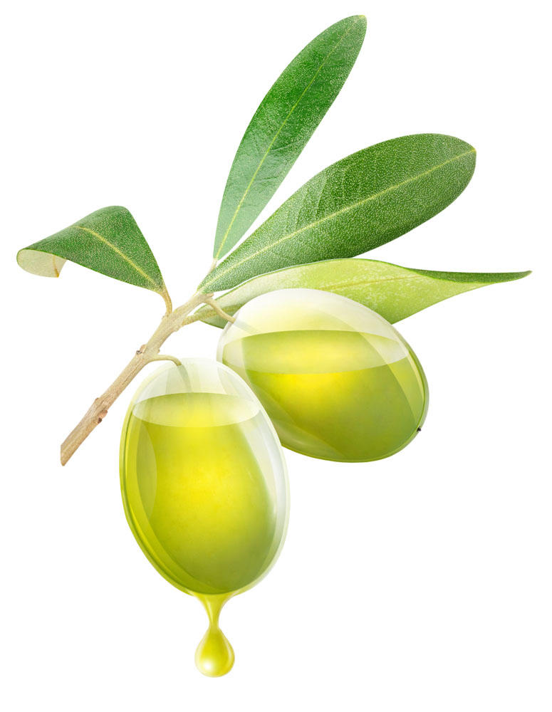 湖南食用橄榄油