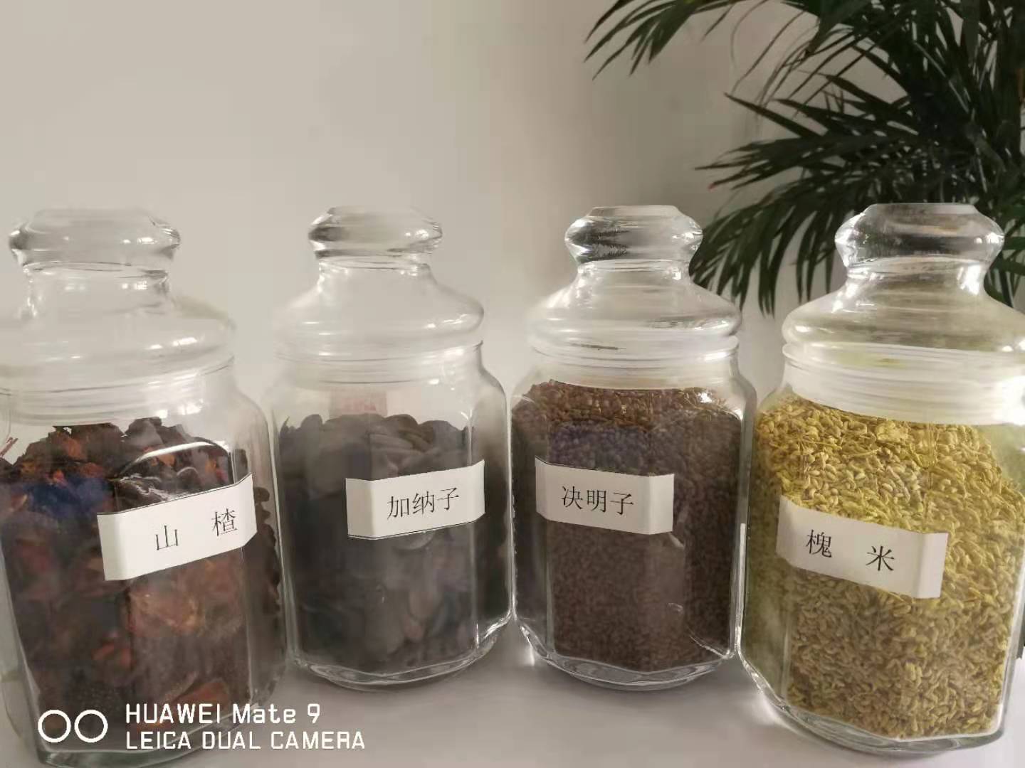 湖南食用米糠油