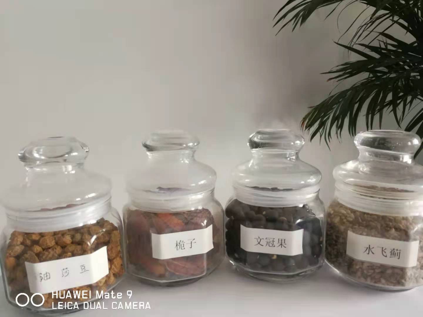 湖南有机山茶油原油
